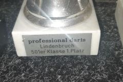 1996-DARTSPUR-Professional-Dart-501er-Klasse-1Platz