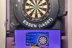 Board-SETUP-01-Board