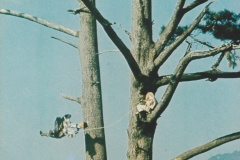 Super-Chan79-AHF-SCAN-2-RSF-uk501