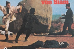 Super-Chan37-Super8-04-Todespranke-von-Siam-front-SCAN-Super-8-RSF-uk501