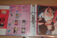 Video-Katalog-RCA-Gefaehrliche-Freundinn