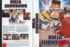 3719-Ninja-Showdown-frontback-BRD-VHS-videophon-einleger-RSF